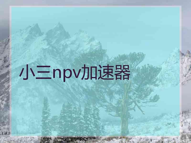 小三npv加速器