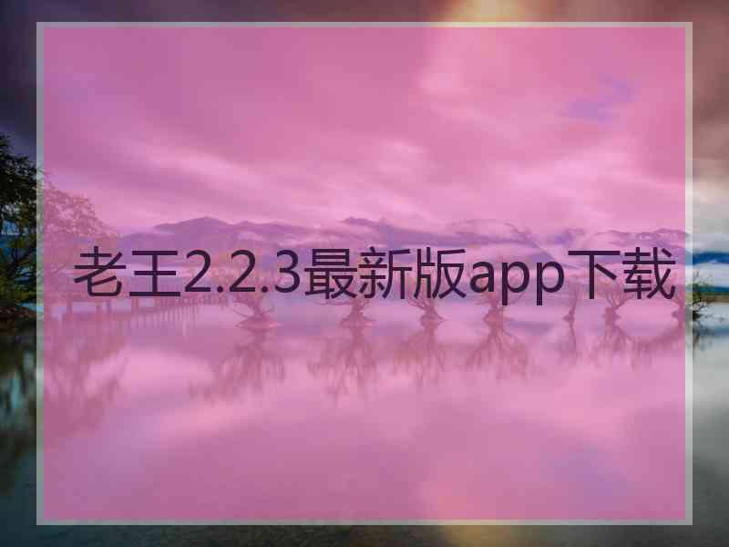 老王2.2.3最新版app下载