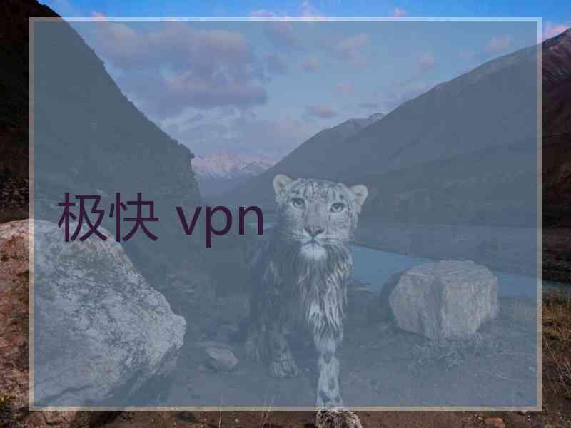 极快 vpn