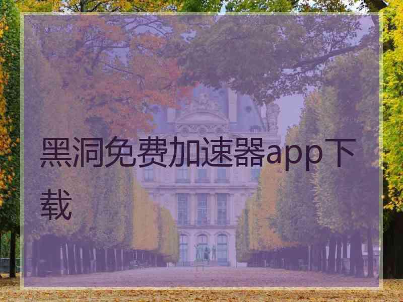 黑洞免费加速器app下载