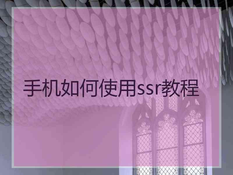 手机如何使用ssr教程