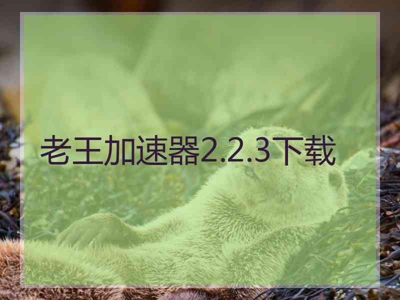 老王加速器2.2.3下载