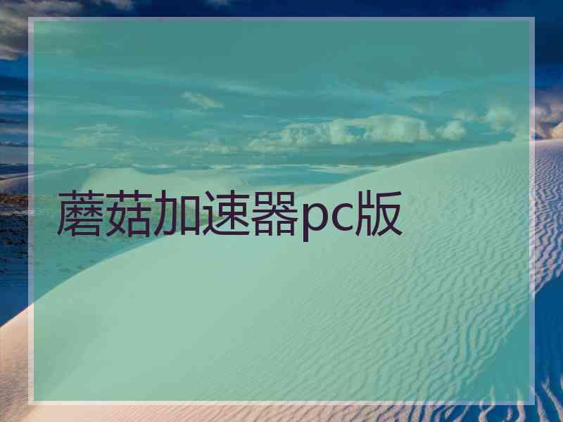 蘑菇加速器pc版