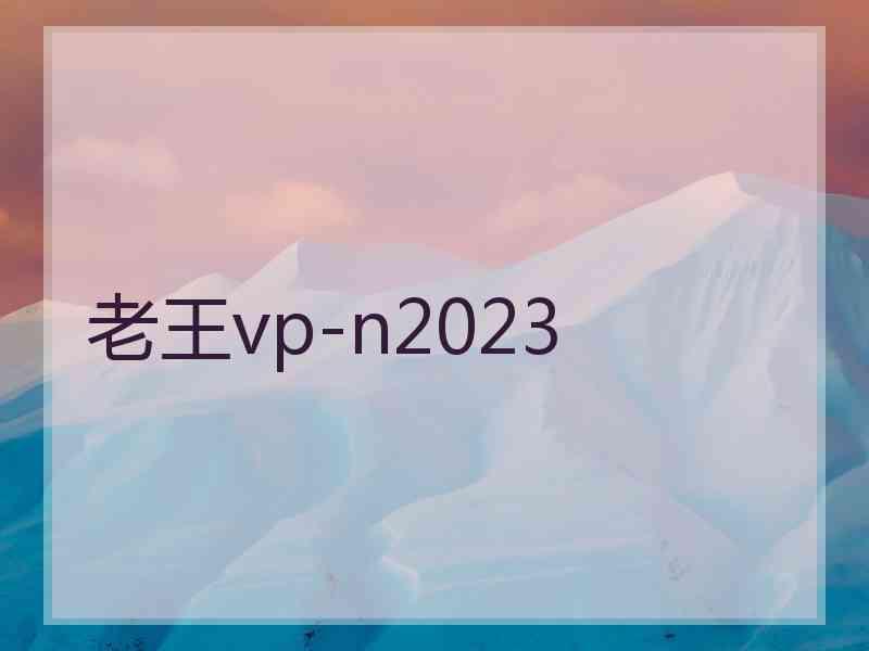 老王vp-n2023