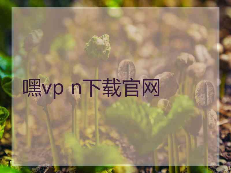 嘿vp n下载官网