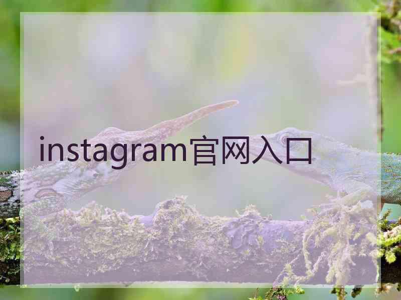 instagram官网入口