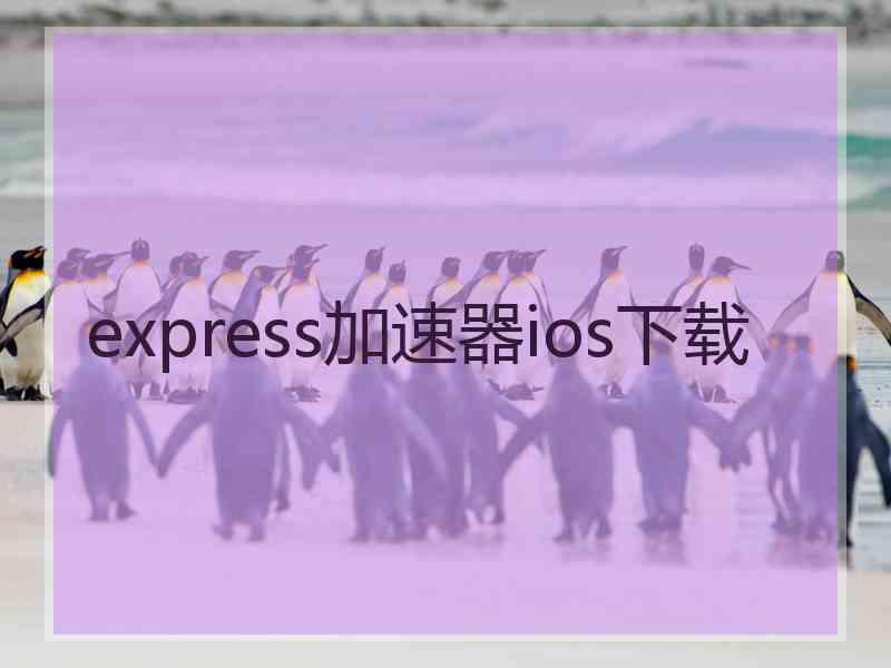 express加速器ios下载