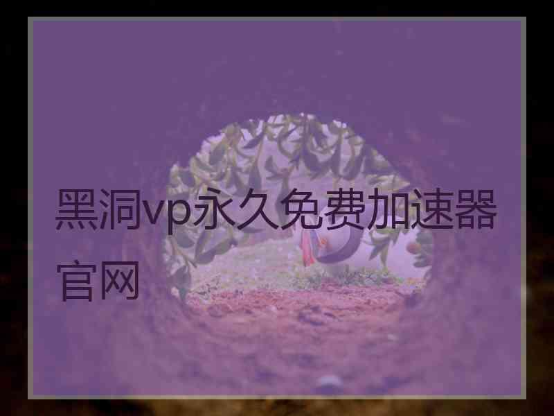 黑洞vp永久免费加速器官网