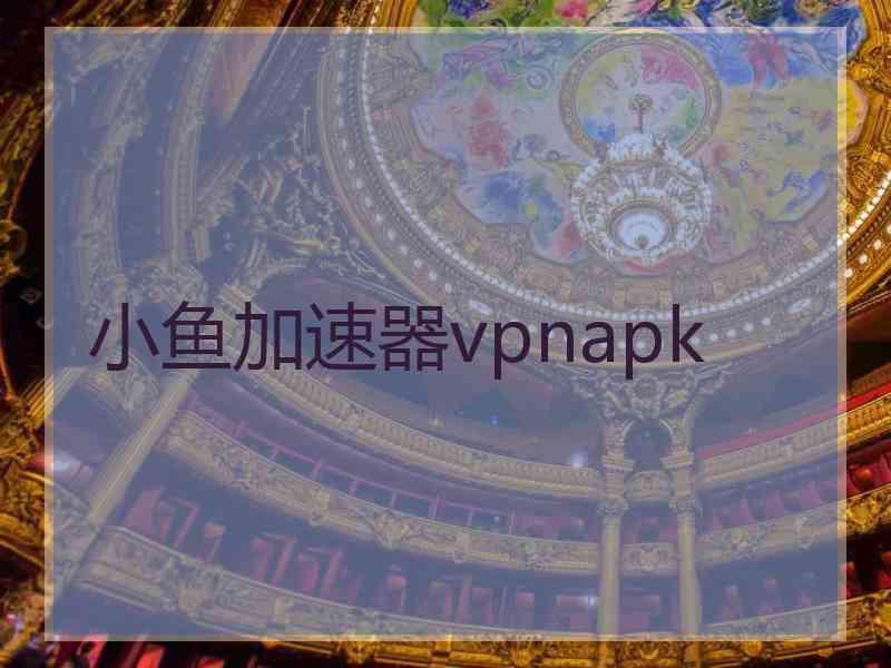 小鱼加速器vpnapk