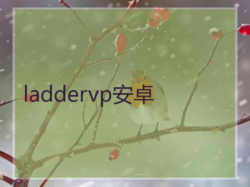 laddervp安卓