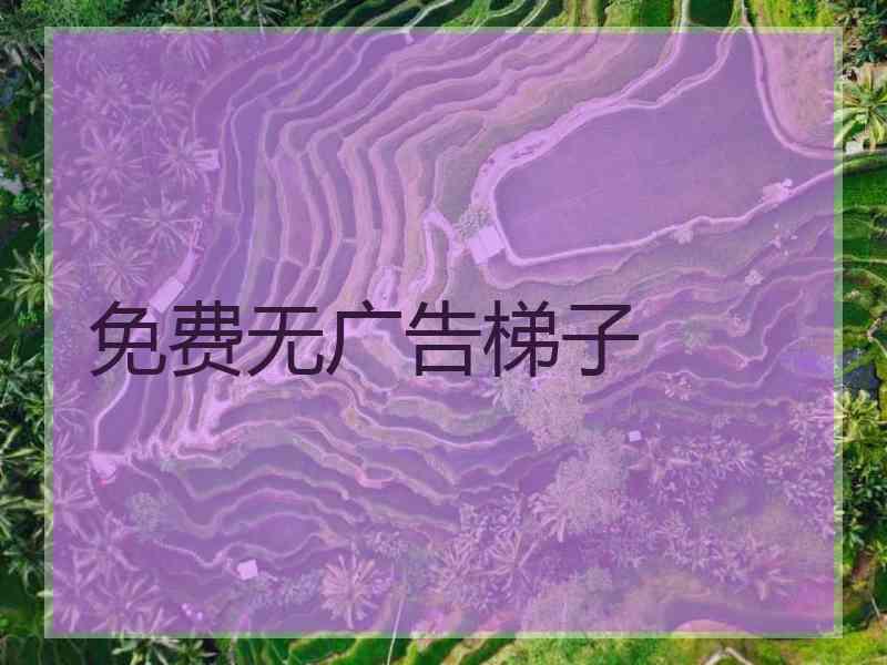 免费无广告梯子