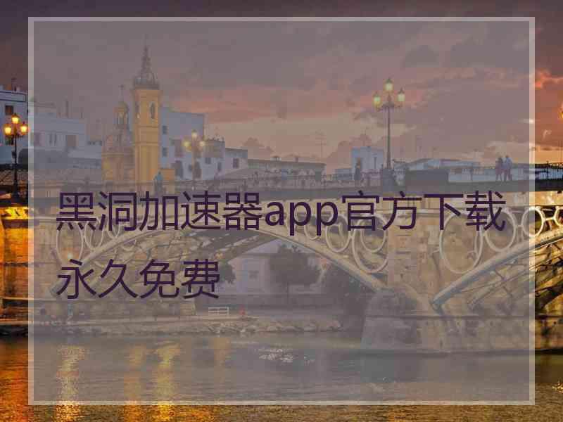 黑洞加速器app官方下载永久免费