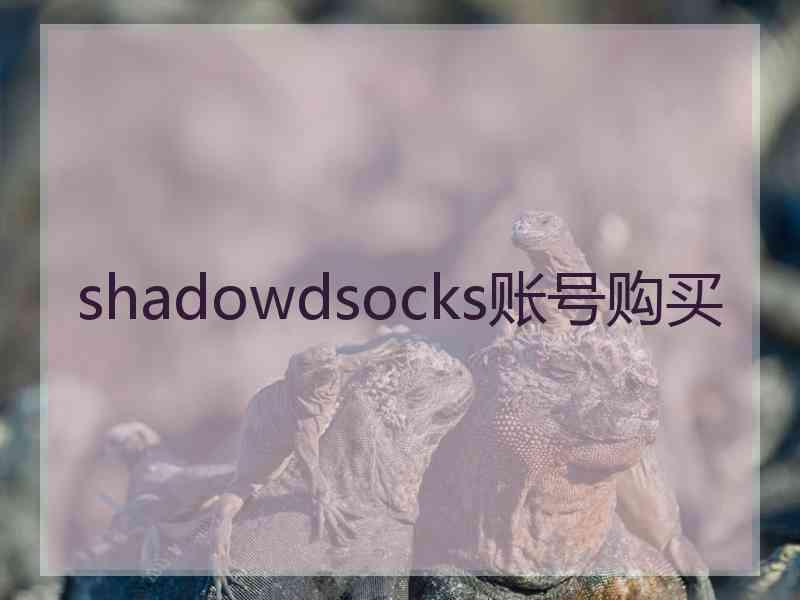 shadowdsocks账号购买