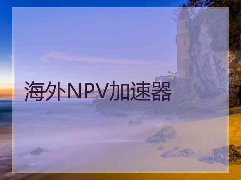 海外NPV加速器