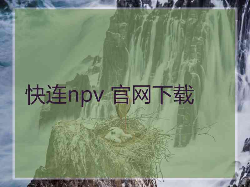 快连npv 官网下载