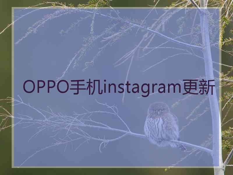 OPPO手机instagram更新