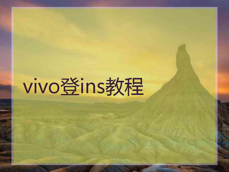 vivo登ins教程