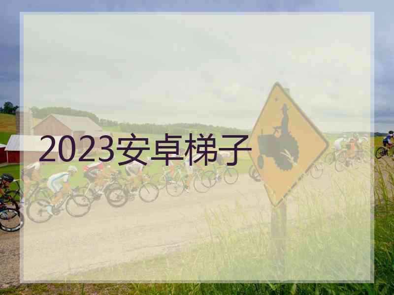 2023安卓梯子