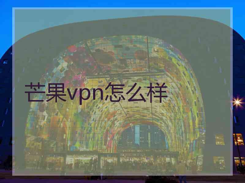 芒果vpn怎么样