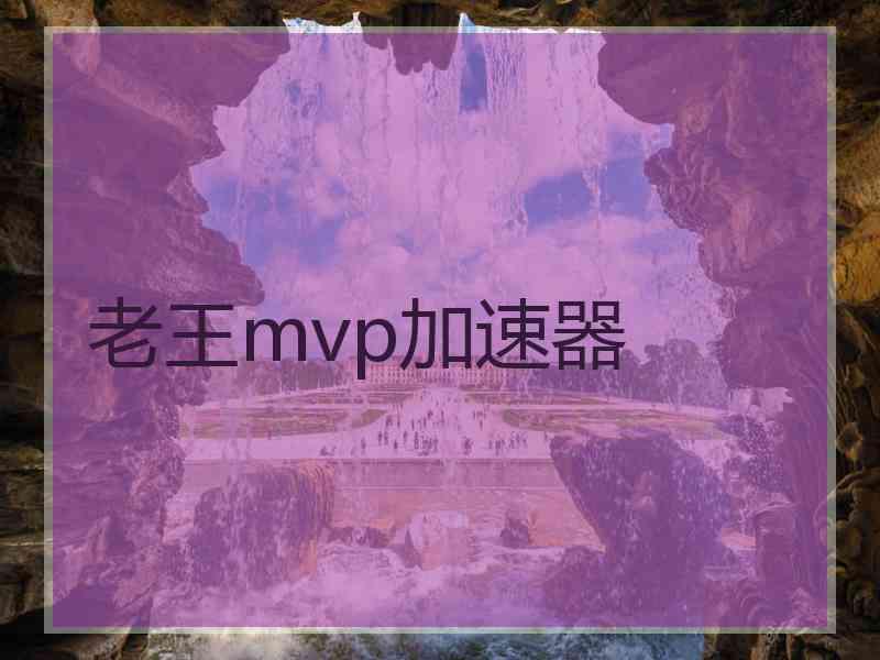 老王mvp加速器