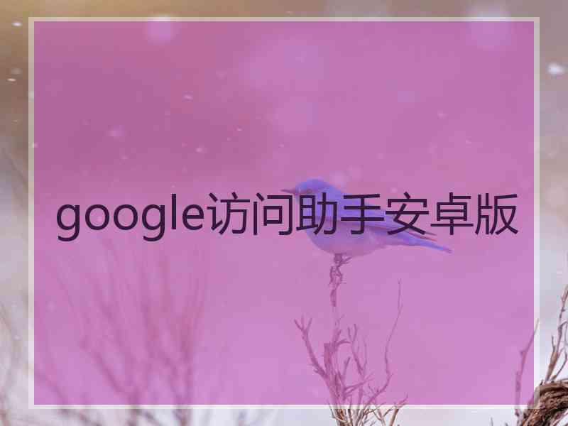 google访问助手安卓版