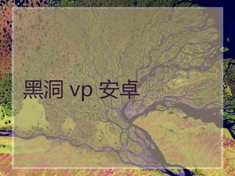 黑洞 vp 安卓