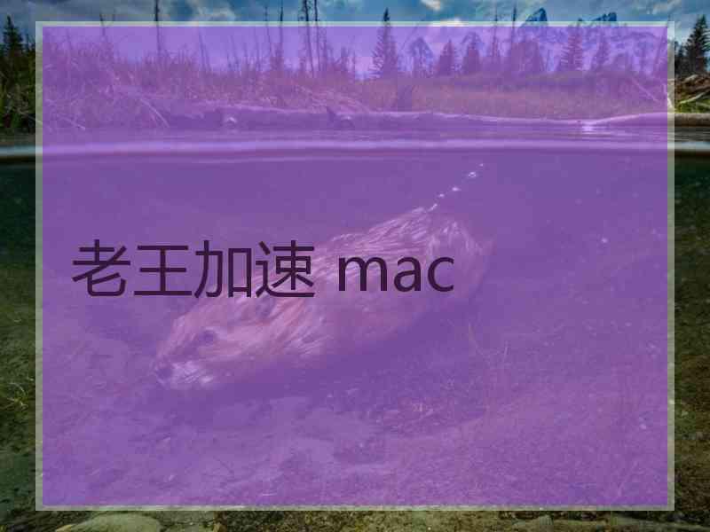 老王加速 mac