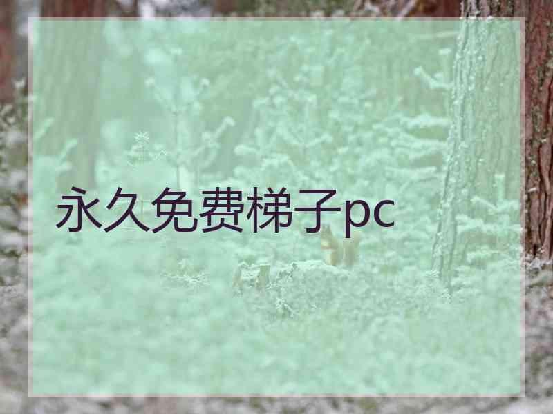 永久免费梯子pc