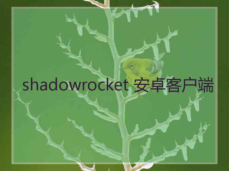 shadowrocket 安卓客户端