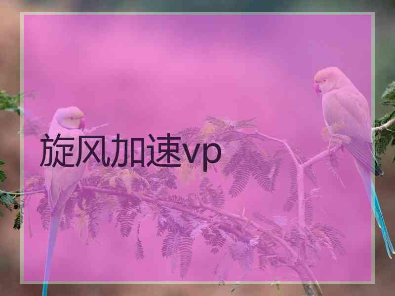 旋风加速vp